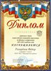 2013-2014 Разоренов Федор 7л